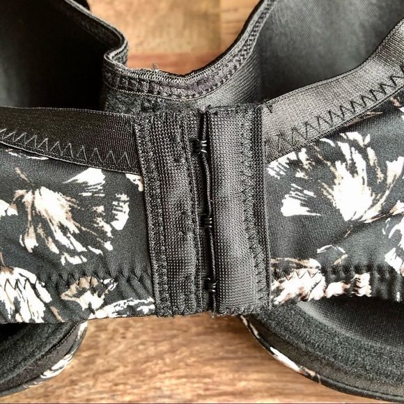 Adrianne Vittadini - Picture 5 of 7